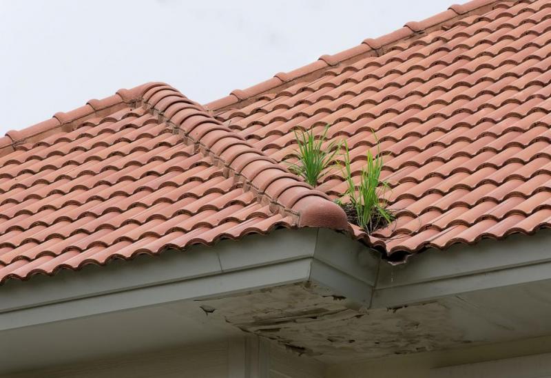 Zinguerie ab&icirc;m&eacute;e ou v&eacute;tuste, quand la remise aux normes de votre toiture devient n&eacute;cessaire &agrave; Saverne ?