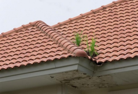 Zinguerie ab&icirc;m&eacute;e ou v&eacute;tuste, quand la remise aux normes de votre toiture devient n&eacute;cessaire &agrave; Saverne ?